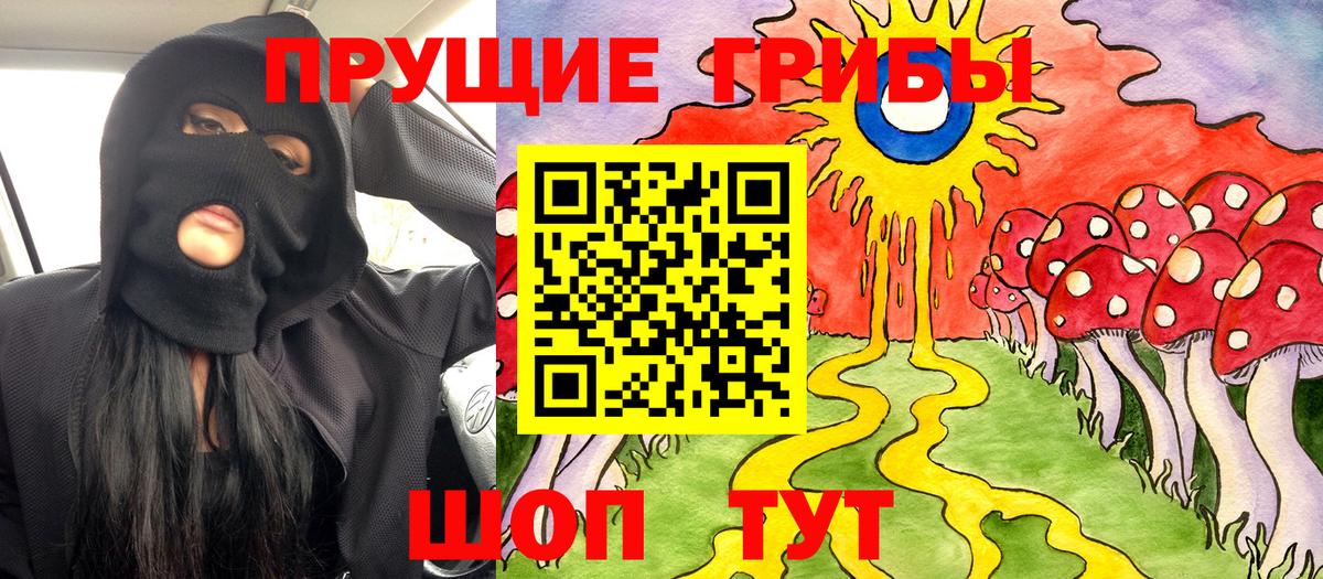 где продают   Псилоцибиновые грибы прущие грибы  Псилоцибиновые грибы Magic Shrooms  Вход с VPN  Губкин 