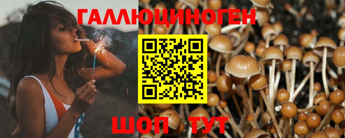 Губкин  ГАШИШ  МАРИХУАНА  Вход с VPN  Мефедрон кристаллы  Кокаин 